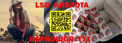 индика Лесосибирск
