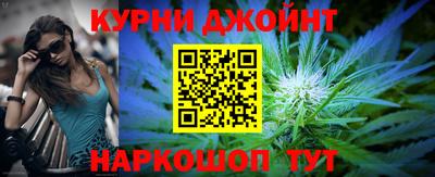 индика Лесосибирск