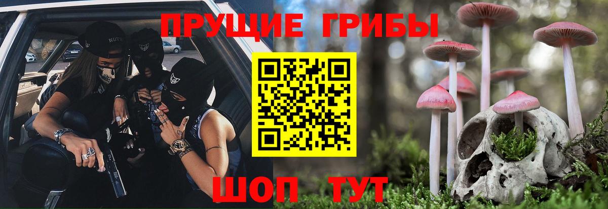 Галлюциногенные грибы Psilocybine cubensis  Вход с VPN  Воркута 